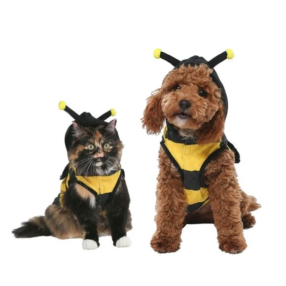 Vibrant Life Yellow & Black Hooded Bumble Bee Halloween Pet Dog Costume Dress Up - Picture 1 of 9